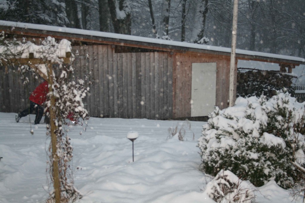 Weihnochtn 2012