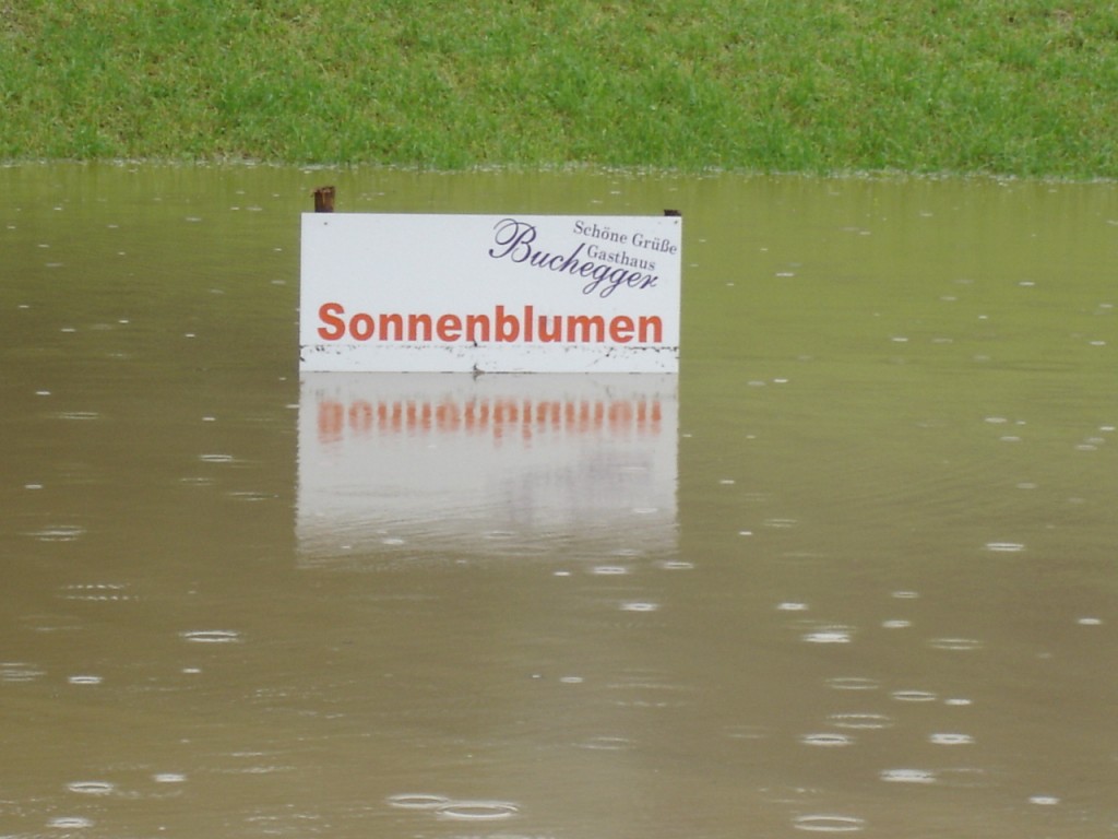 20050822holzer1