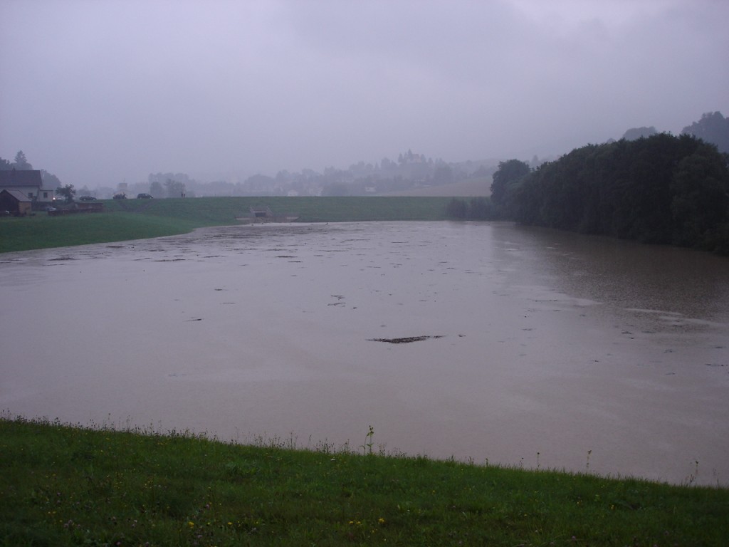 20050822holzer3