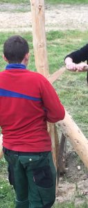 IMG_0391 Ausschnitt